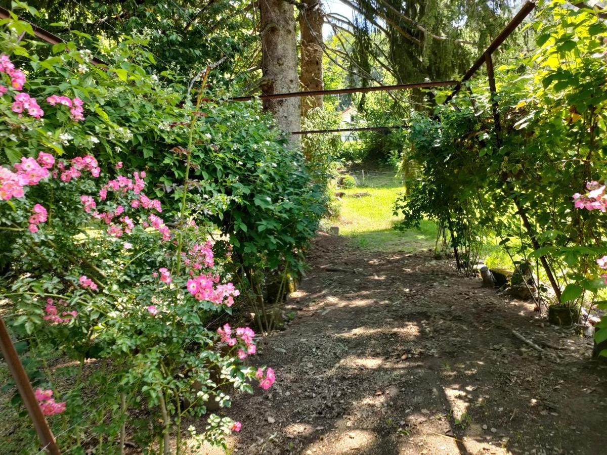 Chateau Ol Puech Guest house Vic-sur-Cere